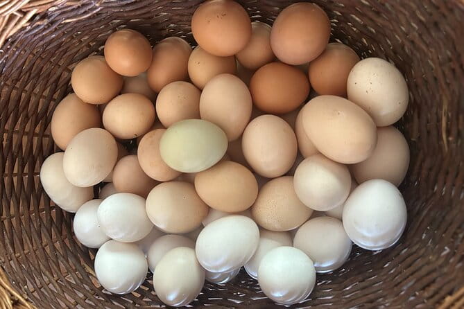 Private Home-Made Pasta Cooking Class in Pisa. - FAQ