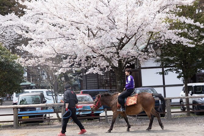 Private Horse Interaction & Sakura Experience Near Mt. Fuji - Location and Accessibility