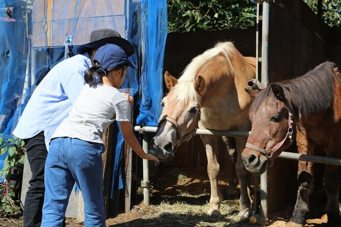 Private Horse Interaction & Sakura Experience Near Mt. Fuji - Meeting and Pickup Details