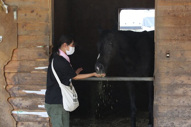 Private Horse Interaction & Sakura Experience Near Mt. Fuji - Customer Reviews and Feedback