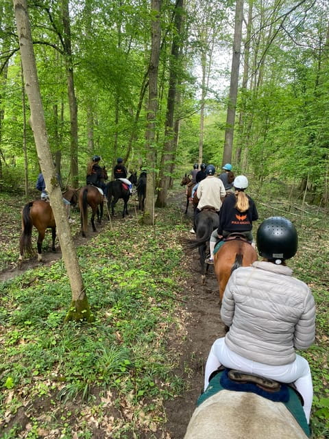 Private Horse Ride experience - A Unique Way to Experience the French Countryside