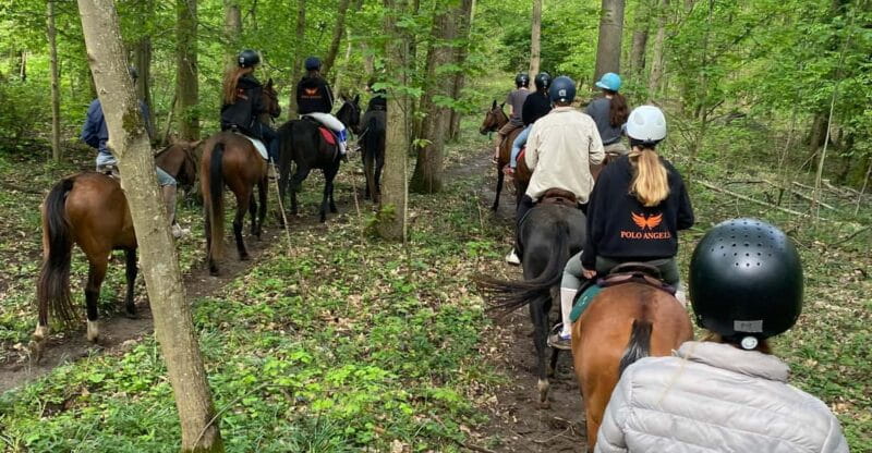 Private Horse Ride experience - Journey into the Forest: Scenic Views & Wildlife