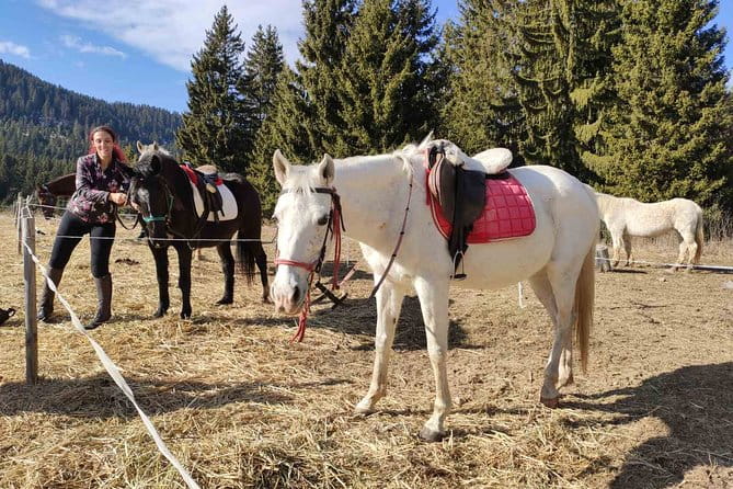 Private Horse Riding in Teteven Balkan from Sofia - FAQ: Practical Questions About the Horseback Tour