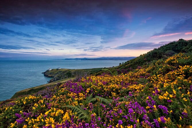 Private Howth Coastal Walk - The Vibrant Howth Market and Viking Roots