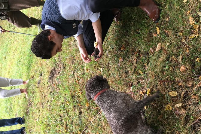 Private Hunting Of Truffle And Mushrooms With Chef Luigi Gandola In Bellagio - FAQ