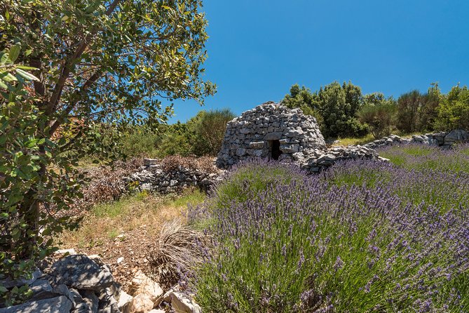 Private Hvar Island Tour and Olive Oil Tasting - Meeting and Pickup