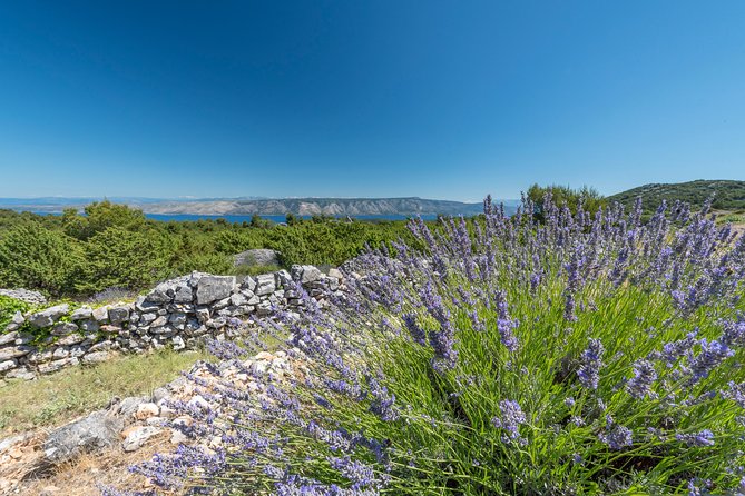 Private Hvar Wine Tasting Tour - Pickup and Drop-off