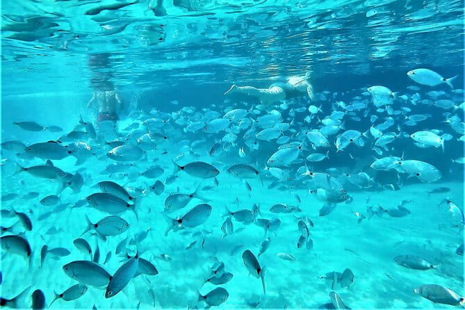 Private Hydro-Jet Snorkeling Beach and Cave Cruise Tour - What’s Included and What’s Not