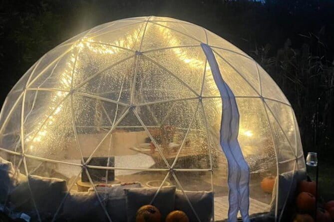 Private Igloo Picnic Experience Hungary - What to Expect During the Two-Hour Experience