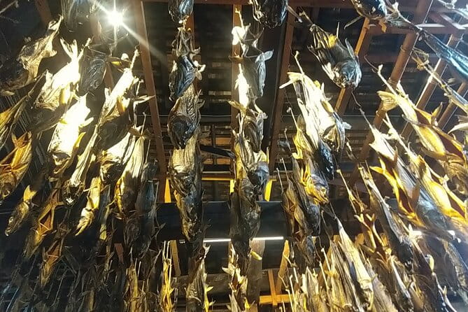 Private Iguriami Fishing Tour in Murakami City - Inclusions