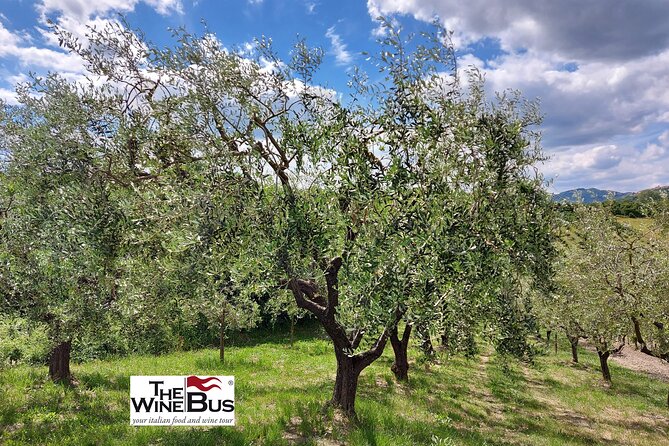 Private Irpinia Wine Tour From SORRENTO With Sommelier - Wine Tasting Highlights