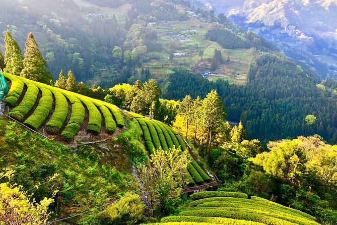 Private Iya Valley Half Day Tour - Accessibility and Health Considerations