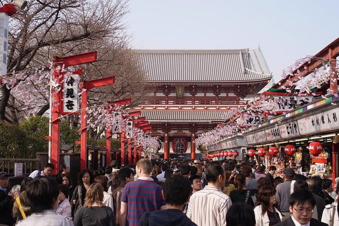 Private Japanese Sample Food Making and Asakusa History Tour - Exploring Sensoji Temple and Nakamise Dori