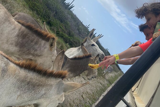 PRIVATE Jeep Safari Natural Pool, Indian Caves & Baby Beach With Snorkeling - Natural Pool Exploration
