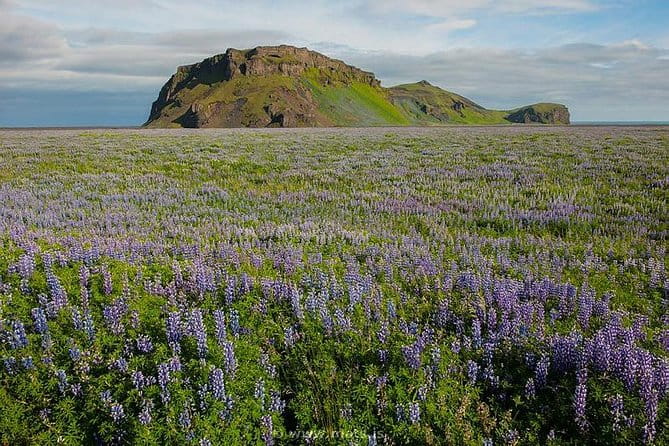 Private Jökulsárlón - Glacier Lagoon - Price and Value: Is It Worth It?