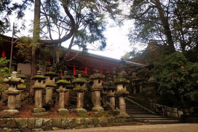 Private Journey in Nara's Historical Wonder - Reviews and Experiences From Previous Travelers