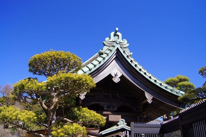 Private Kamakura and Enoshima Day Tour From Tokyo - Accessibility Information