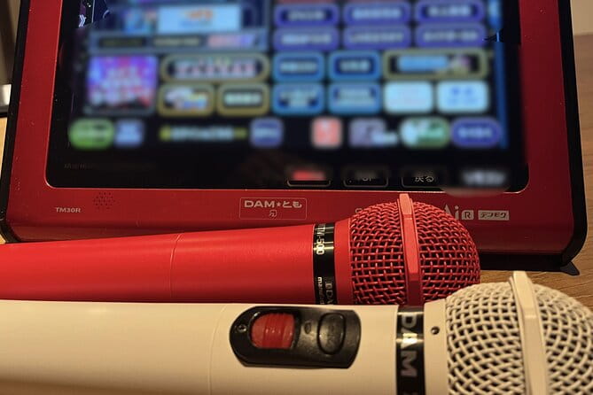 Private Karaoke Lesson in Shinjuku Bar - Key Points