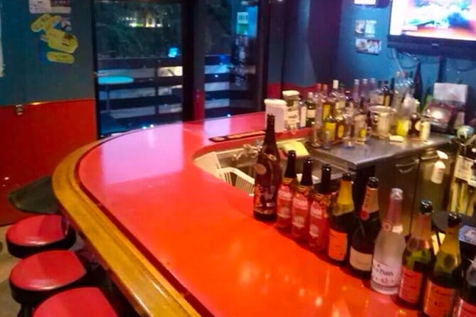 Private Karaoke Lesson in Shinjuku Bar - Whats Included