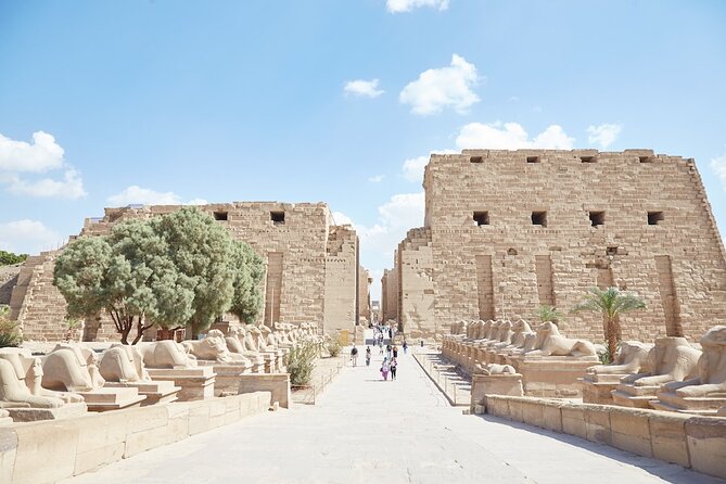 Private Karnak Temple Tour by Felucca From Luxor - Guides and Accessibility