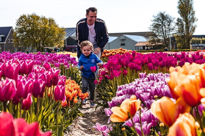 Private Keukenhof, Gardens, Windmills, cheese tour from Amsterdam - Who Is This Tour Best For?
