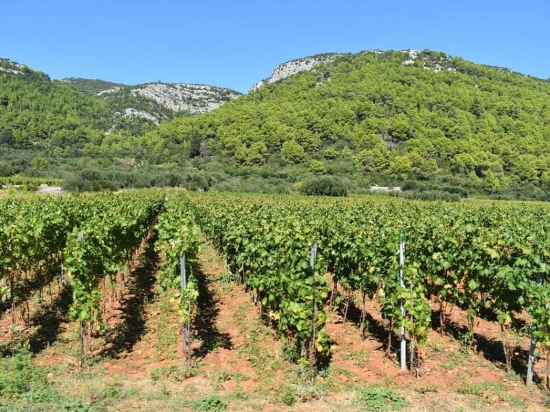 Private Korula Island: Wine & Sightseeing Tour - FAQ