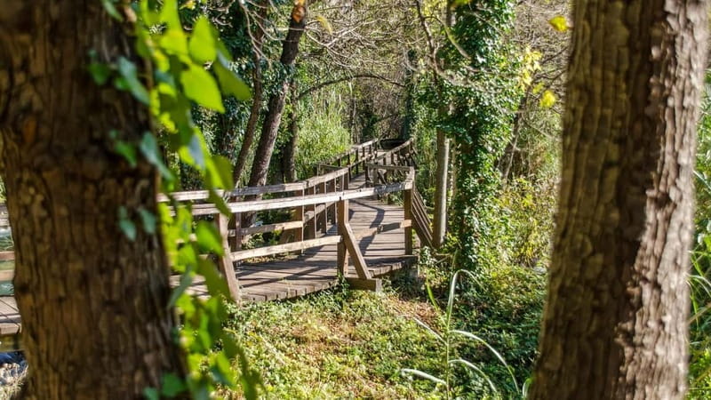 Private Krka National Park & Klis Fortress from Split - Exploring Croatia’s Inland Gems with a Private Touch