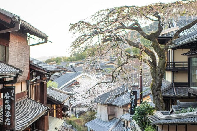 Private Kyoto Customizable Day Tour With English Guide - Key Points