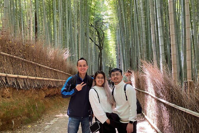 Private Kyoto Day Tour From Osaka - Meeting and End Points: Where to Start and Finish