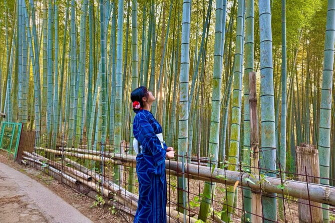 Private Kyoto Morning Tour: Top Landmarks in Half a Day - Capturing Stunning Moments With Professional Photos