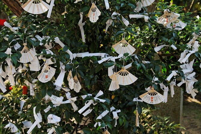 Private Kyoto Seaside Tour to Amanohashidate and Ine's Boathouses - Whats Included and Whats Not