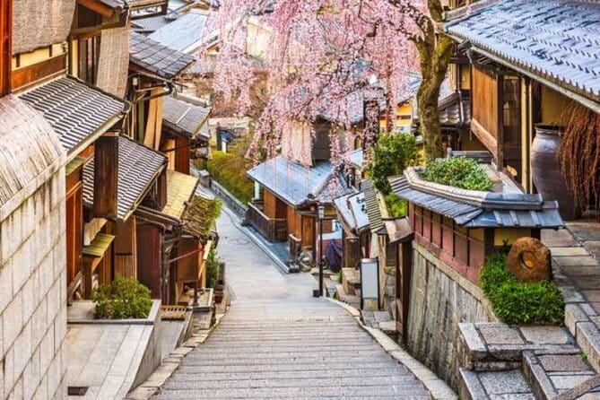 Private Kyoto Tour With Hotel Pick up and Drop off - Accessibility Features