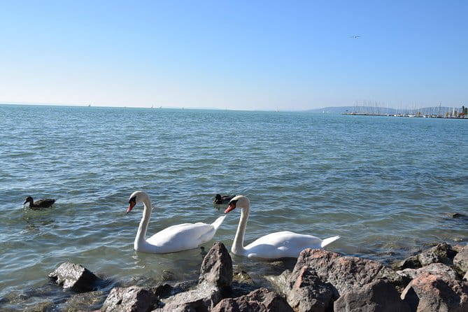 Private Lake Balaton Experience with an unforgettable Wine Tasting - The Sum Up