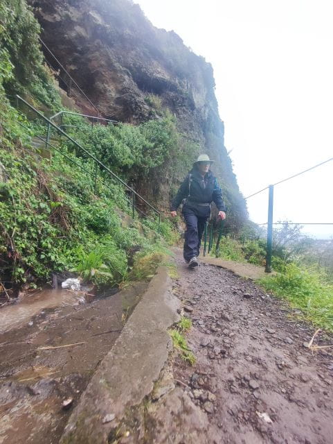 Private - Levada Do Moinho Guided Hike - Pricing and Booking