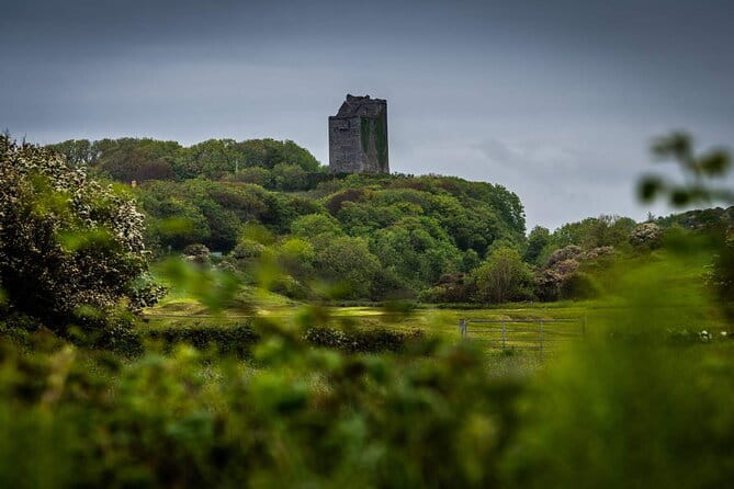 Private Limousine hire Cliffs of Moher Day Tour - An In-depth Look at the Private Cliffs of Moher and Burren Tour