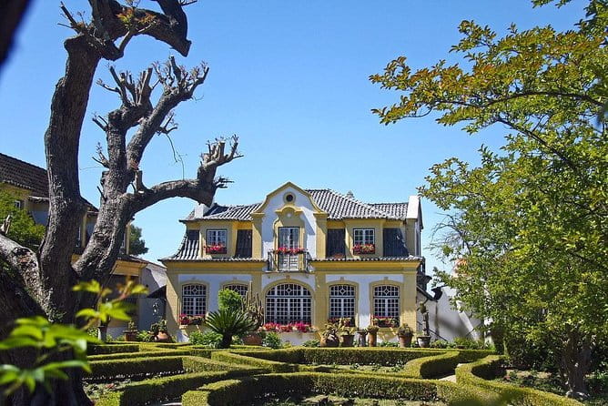 Private Lisbon wine tasting tour in the Setubal region - Key points / Takeaways