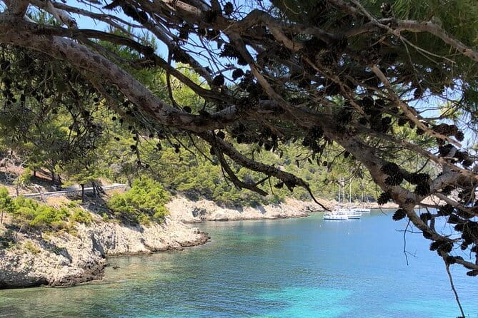 Private Luxury Cruise to Fteri, Melissani, Assos - Who Should Consider This Tour?