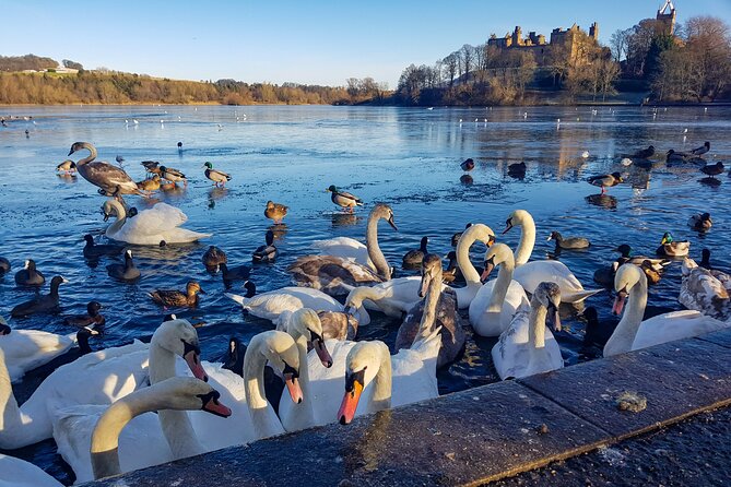 Private Luxury Mini Highlands Tour From Edinburgh - Braveheart - Reviews and Experiences