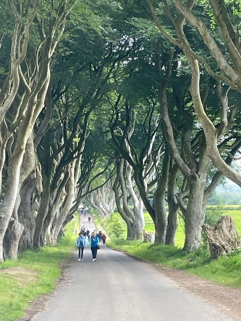 Private luxury tour of Belfast & giants causeway tickets inc - Exploring Belfast in Style: What to Expect