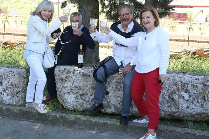 Private Luxury wine tour in Ancient Nemea and vineyards. - Key Points