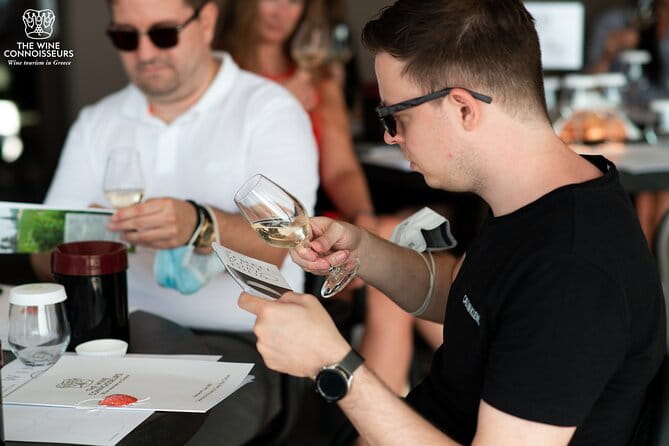 Private Luxury wine tour in Ancient Nemea and vineyards. - A Deep Dive into the Experience