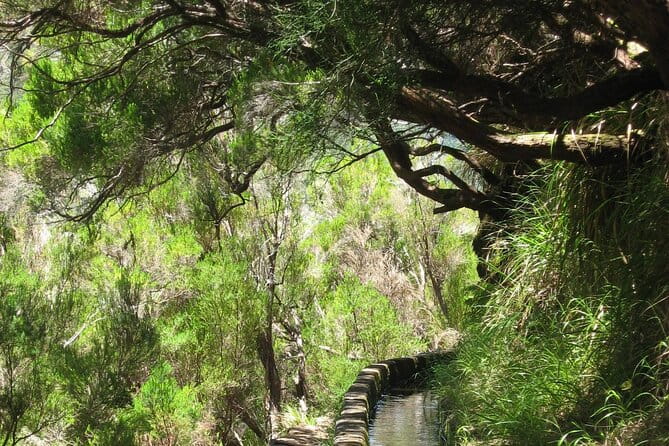 Private Madeira tour 8 people - Who Is This Tour Best For?