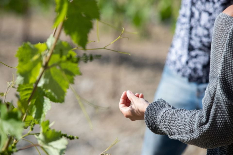 Private : Margarites Village-Arkadi Monastery-Patsos Gorge - Arkadi Monastery Visit
