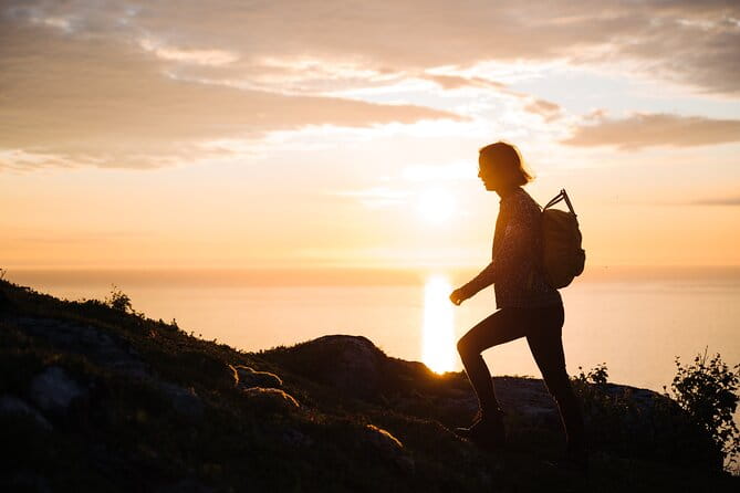 Private Midnight Tour To Gimsøya - Who Should Consider This Tour?