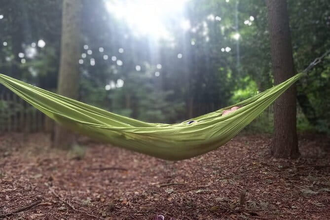 Private Mindfulness and Nature Walk in Edinburgh - A detailed look at the experience