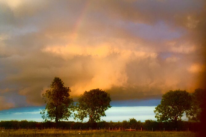 Private Miniature Horse Walking Near Lincoln - Group Size and Participation