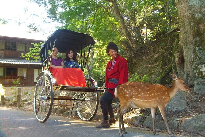 Private Miyajima Rickshaw Tour Including Itsukushima Shrine - Cultural Insights From the Rickshaw Guide