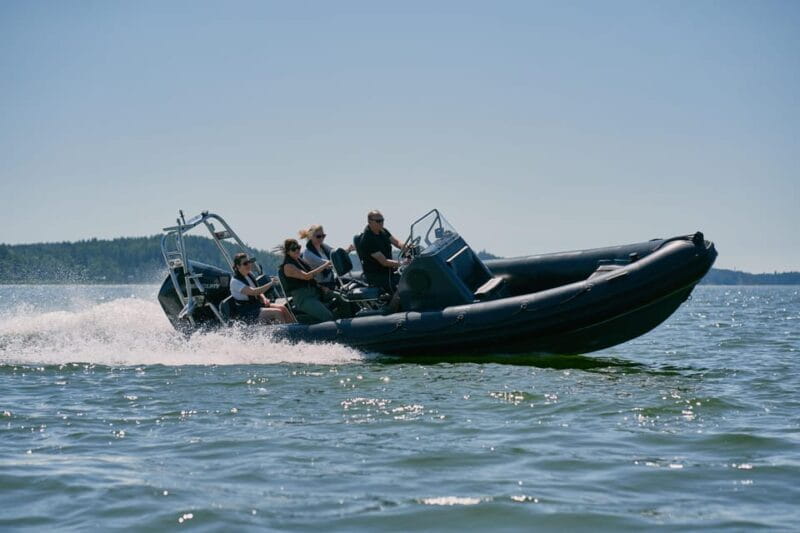 Private morning boat tour to the Airisto - Exploring the Airisto: An Authentic Finnish Waterway
