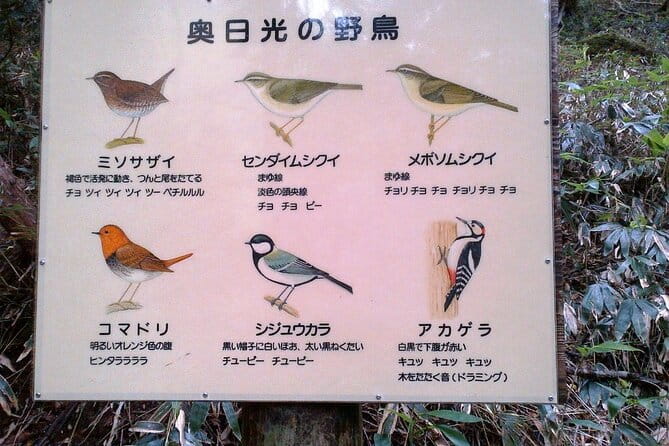 Private Morning Hike Around Nikko Toshogu Shrine - Accessibility