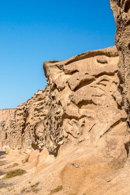 Private Morning Inland Fishing Tour With Seafood Lunch - Frequently Asked Questions